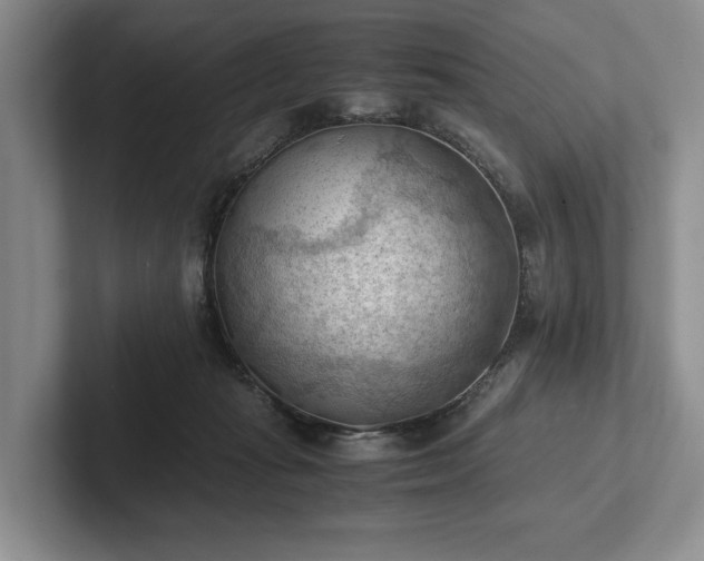 X0000102390269200808081233