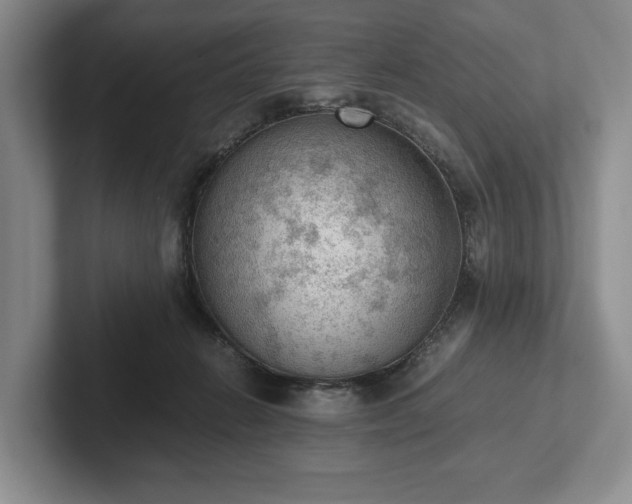 X0000102390270200808081233