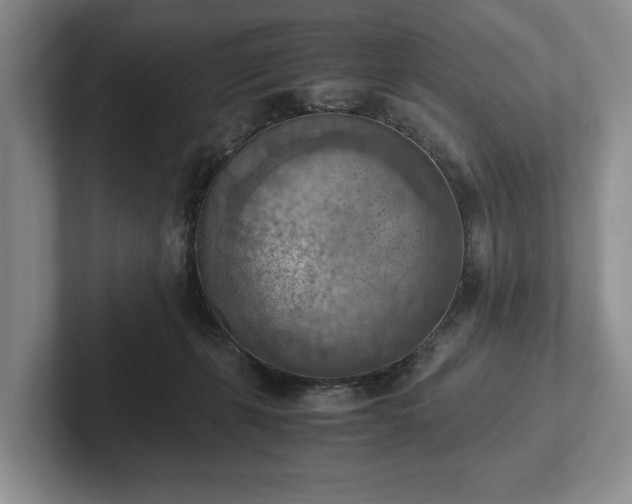 X0000102390271200808081233