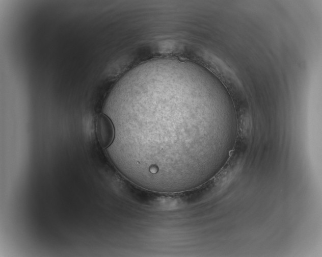 X0000102390272200808081233