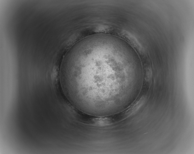 X0000102390273200808081233