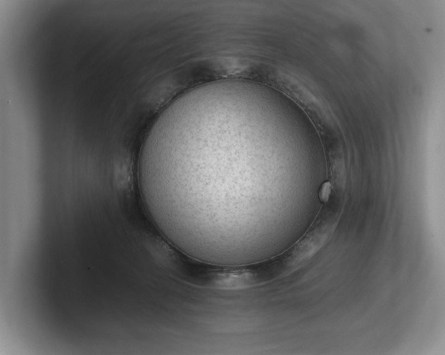 X0000102390274200808081233