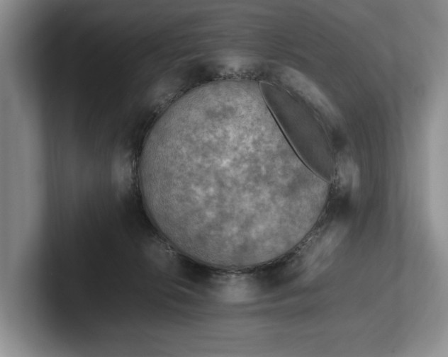 X0000102390276200808081233