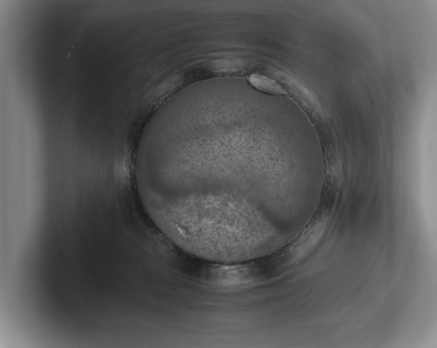 X0000102390277200808081233