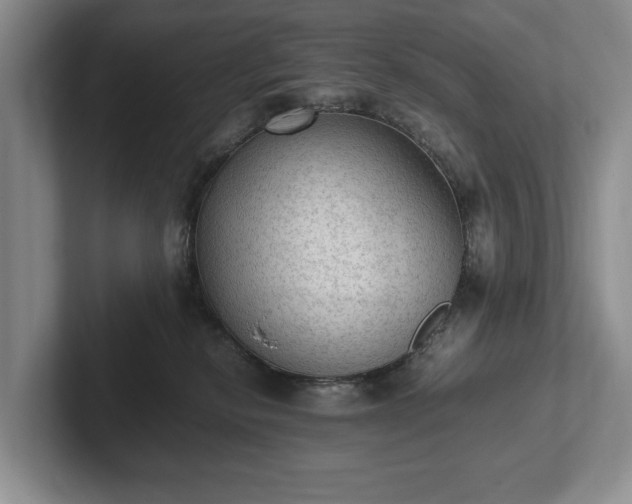 X0000102390278200808081233