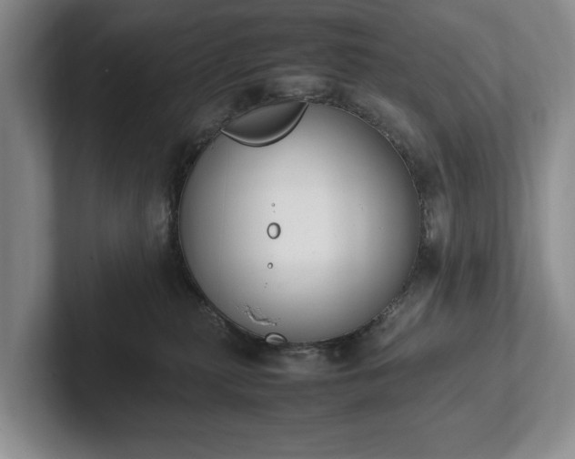 X0000102390279200808081233