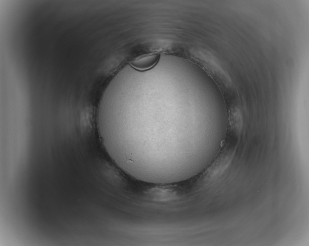 X0000102390280200808081233