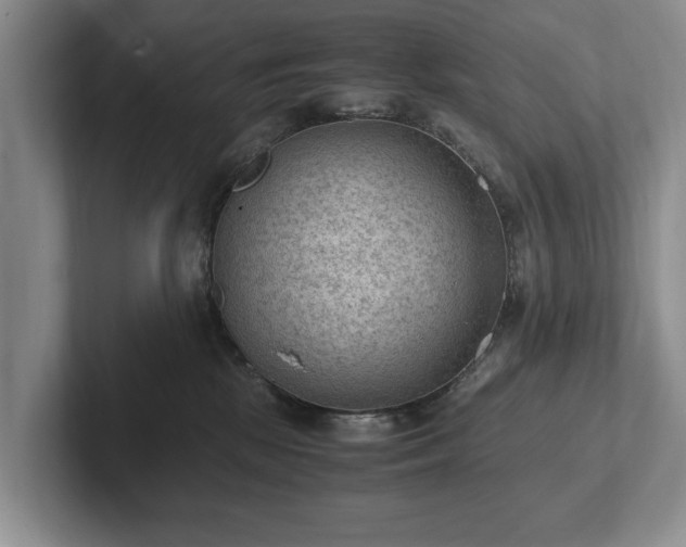 X0000102390281200808081233