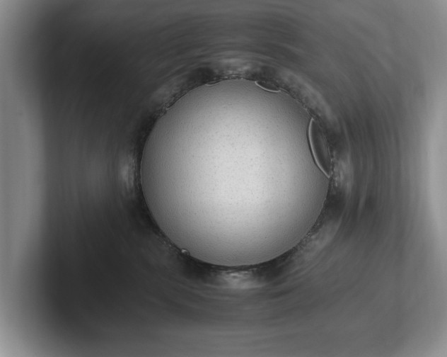 X0000102390283200808081234