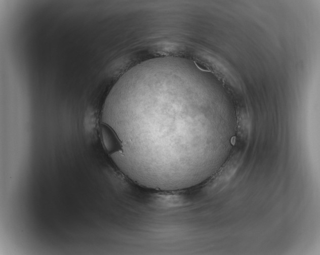 X0000102390284200808081234