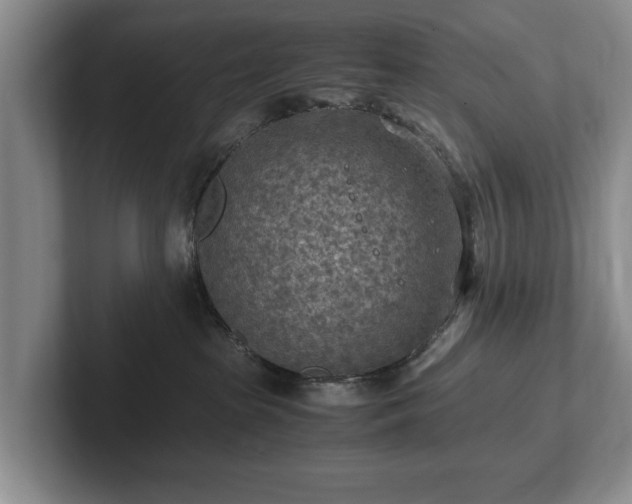 X0000102390285200808081234