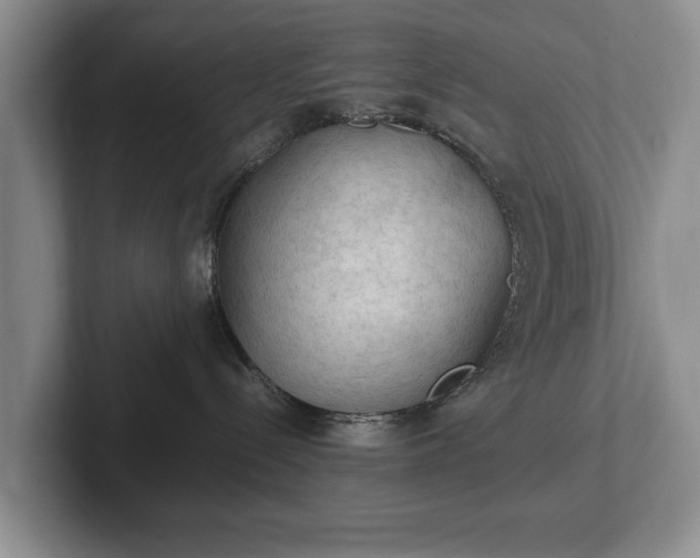 X0000102390288200808081234