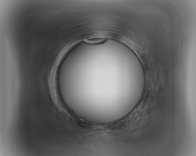 X0000102390289200808081233