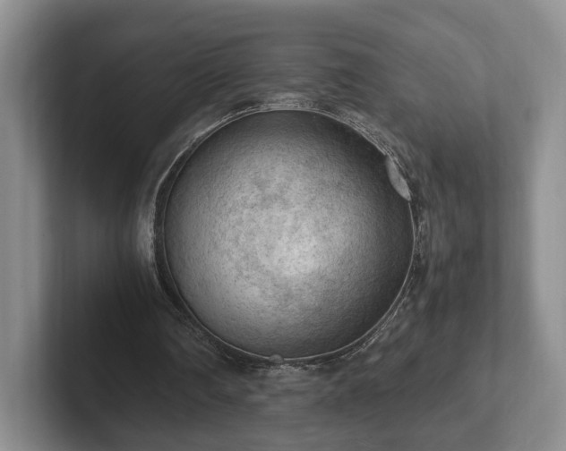 X0000102390290200808081233