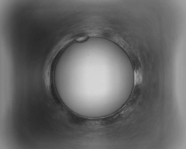 X0000102390291200808081233