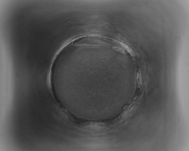 X0000102390292200808081233