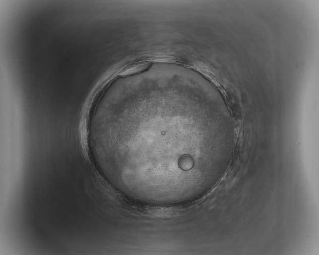 X0000102390293200808081233