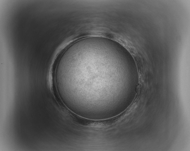 X0000102390294200808081233