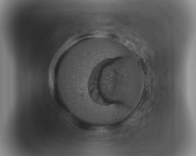 X0000102390295200808081233