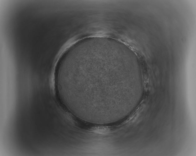 X0000102390296200808081233