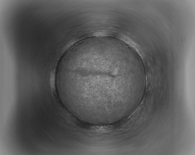 X0000102390297200808081233