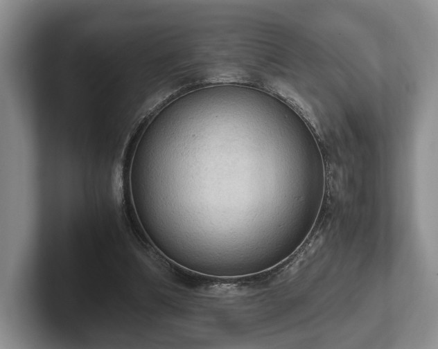 X0000102390298200808081233