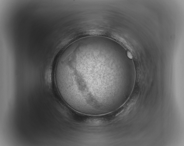 X0000102390299200808081233