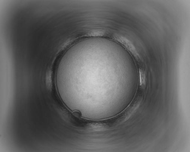 X0000102390300200808081233