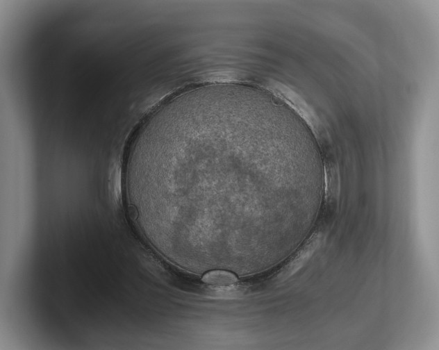 X0000102390301200808081233