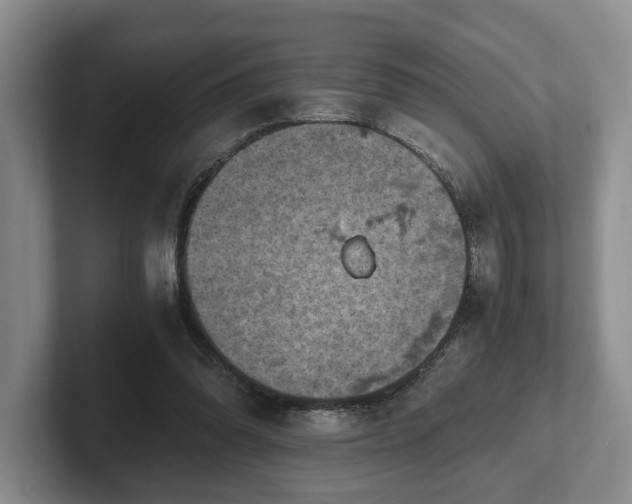 X0000102390302200808081233