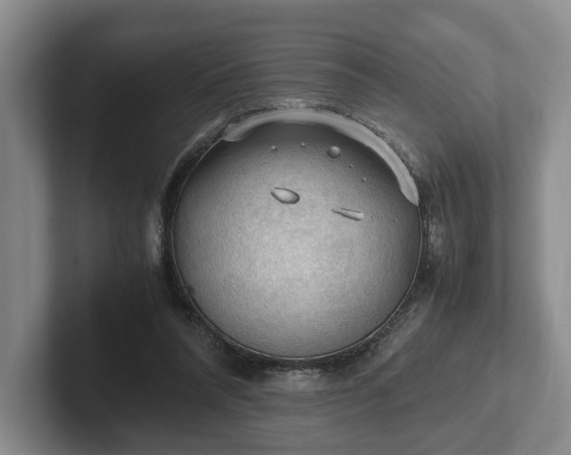 X0000102390304200808081233