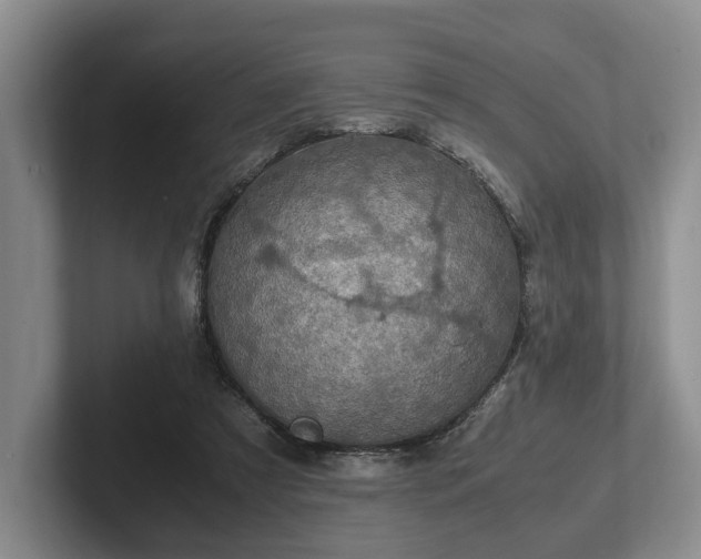 X0000102390305200808081233