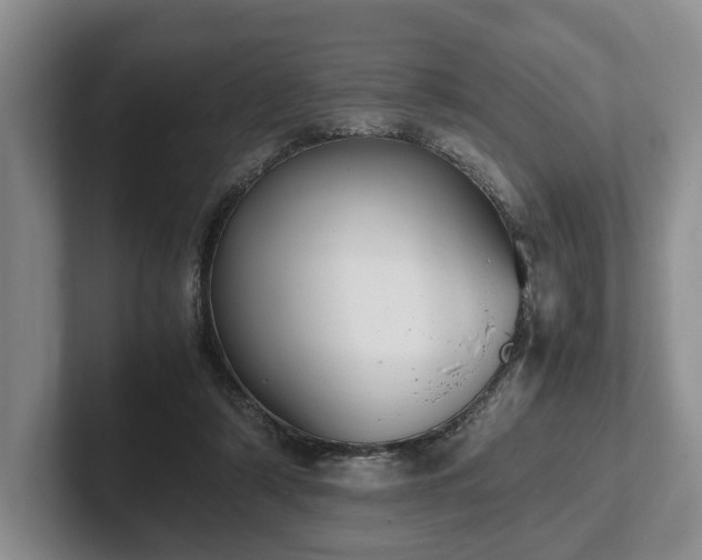 X0000102390306200808081233