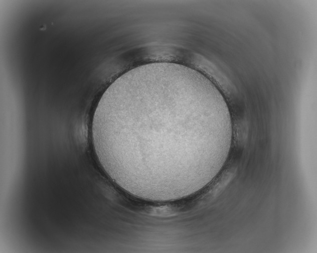 X0000102390309200808081233