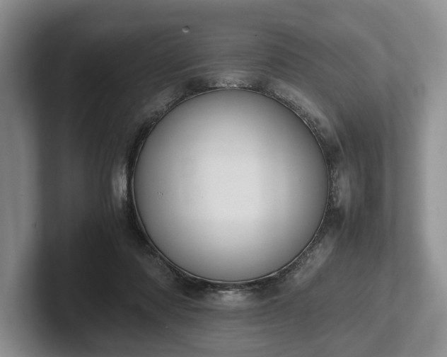 X0000102390310200808081233