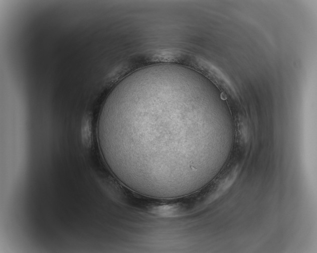 X0000102390312200808081233