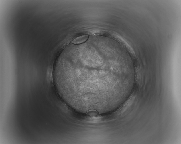 X0000102390313200808081233