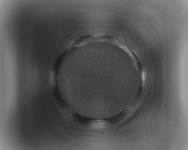 X0000102390316200808081233