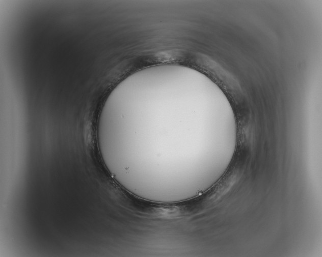 X0000102390317200808081233