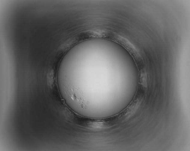 X0000102390318200808081233