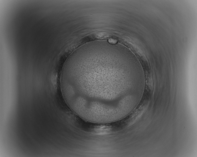 X0000102390319200808081233