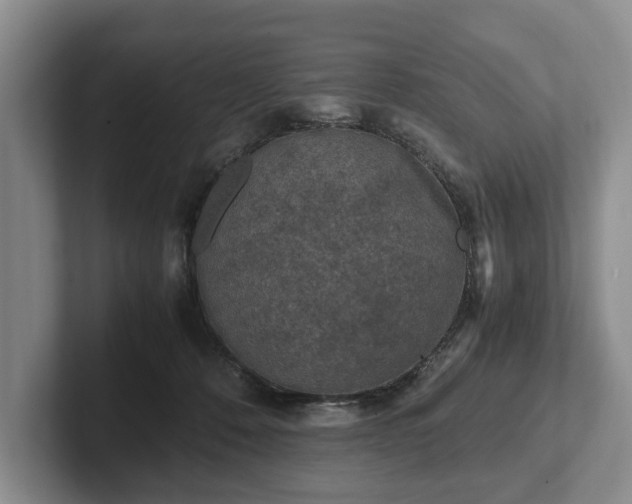 X0000102390320200808081233