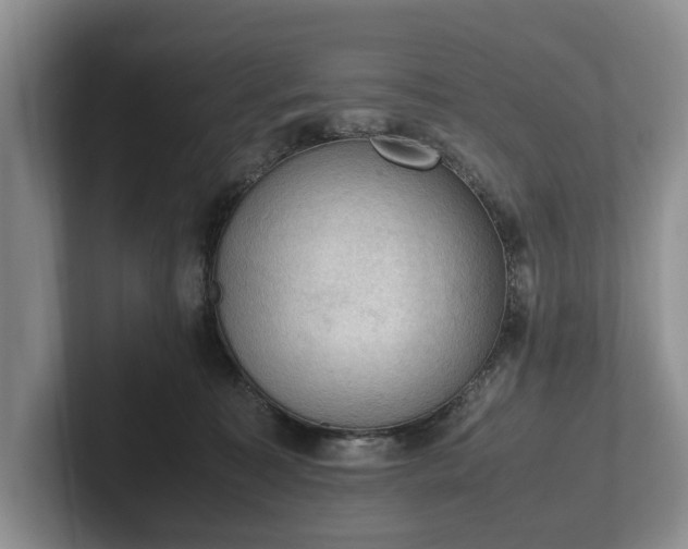 X0000102390323200808081233