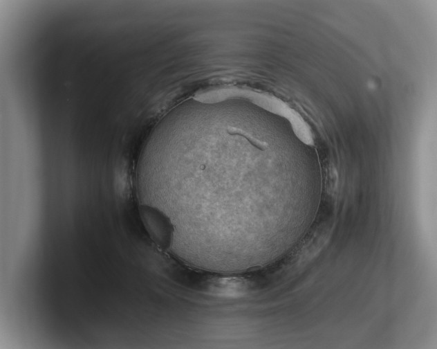 X0000102390324200808081233