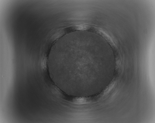 X0000102390325200808081232