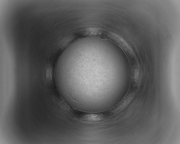 X0000102390326200808081232