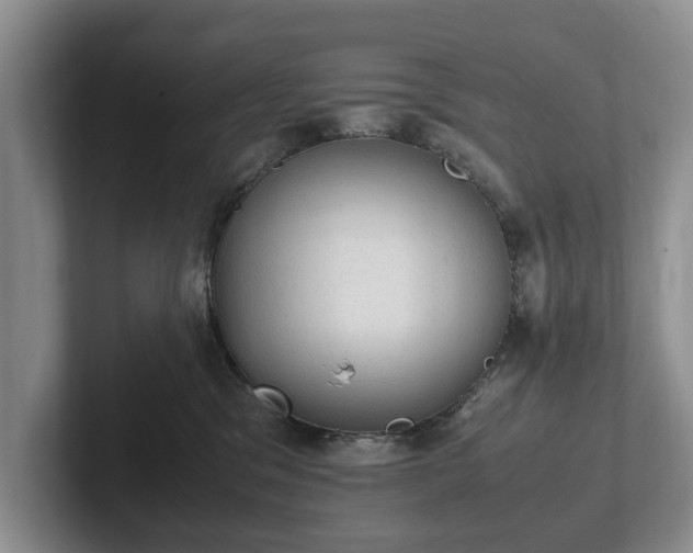 X0000102390329200808081232