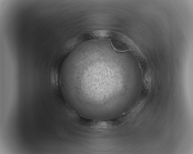 X0000102390330200808081232