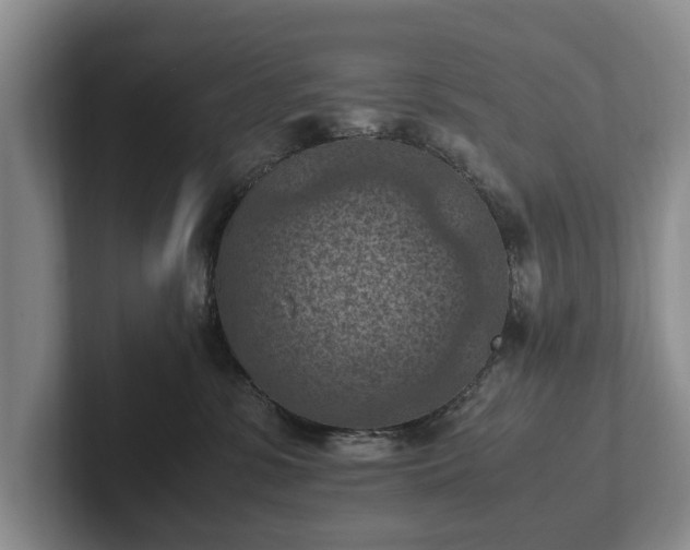 X0000102390331200808081232