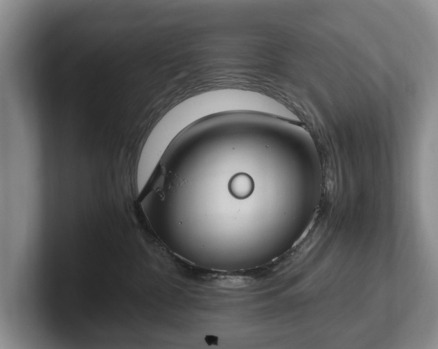 X0000102390332200808081232